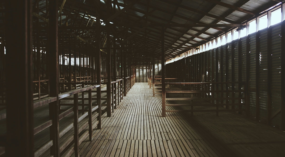 How Our Planer Mill Provides Agricultural Solutions