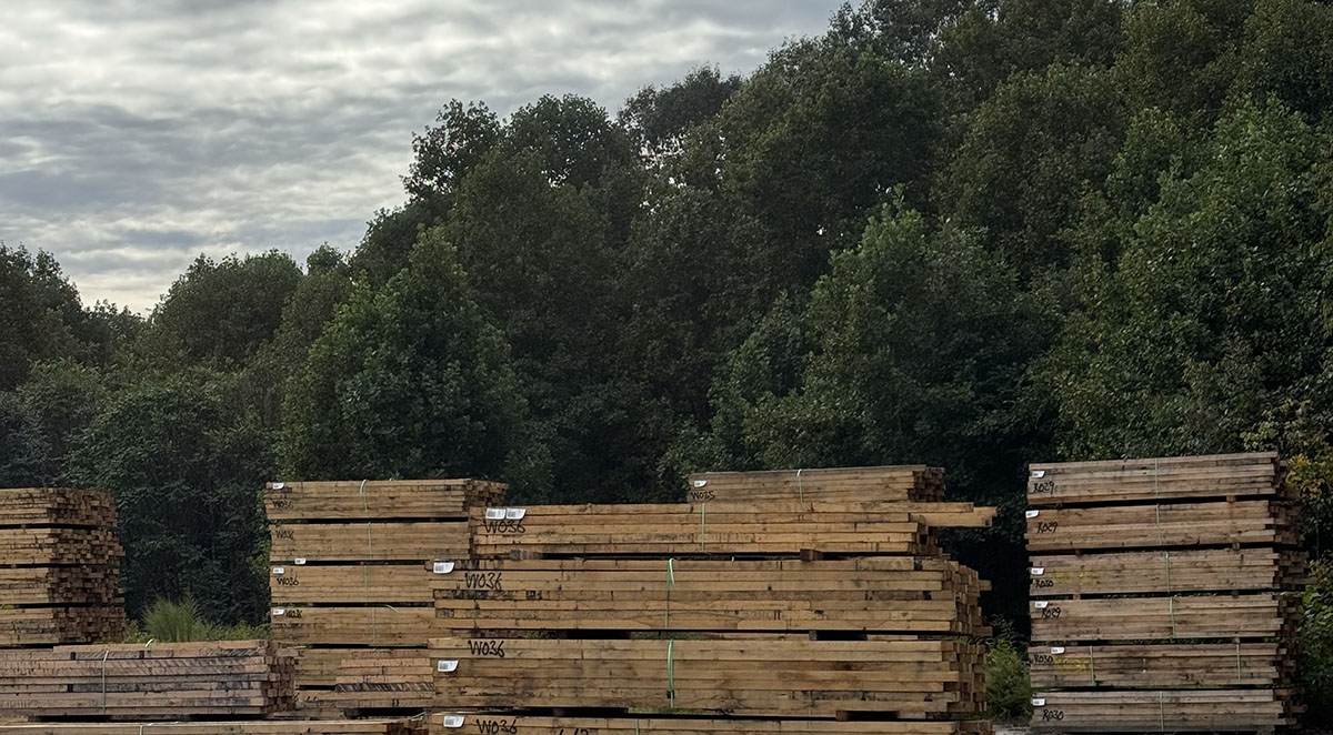 How a Planer Mill Helps for Logistics, Shipping, and Storage
